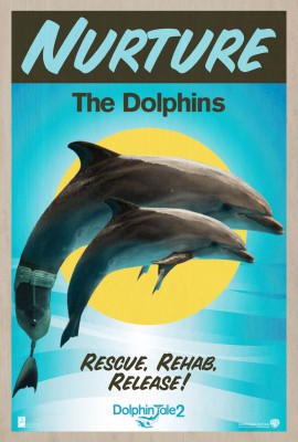 Dolphin Tale 2